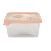 Контейнер для продуктов ПАСТЕЛЬ 0,45 л квадратный