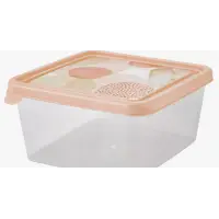 Контейнер для продуктов ПАСТЕЛЬ 0,45 л квадратный