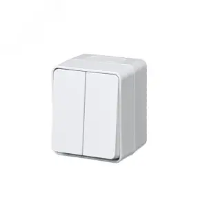 Выключатель двухклавишный ОП AtlasDesign PROFI IP54 10AX белый SE ATN540151